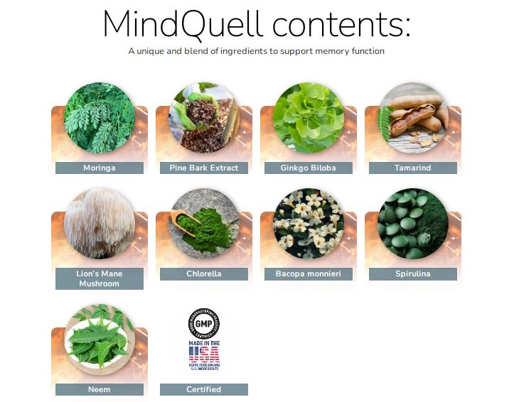 mindquell contents