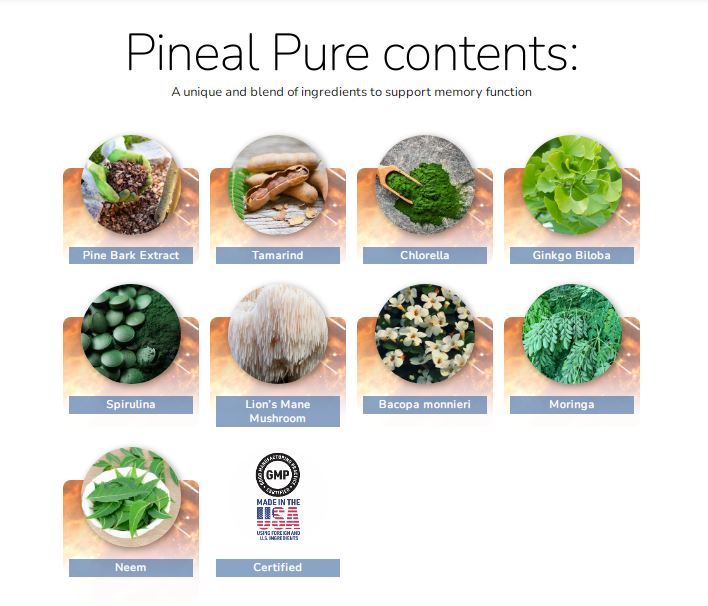 pineal pure contents